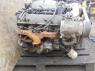 Двигатель 36D В сборе Land Rover Discovery I (LJ) 1989 - 1998 3.9i