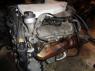Двигатель BDP Volkswagen Passat B5 GP (3B) 2000 - 2005 4.0i