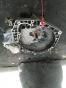КПП механическая (МКПП) к Alfa Romeo 156, 2000 г. 2.4 л, дизель, JTD код: 60623950
